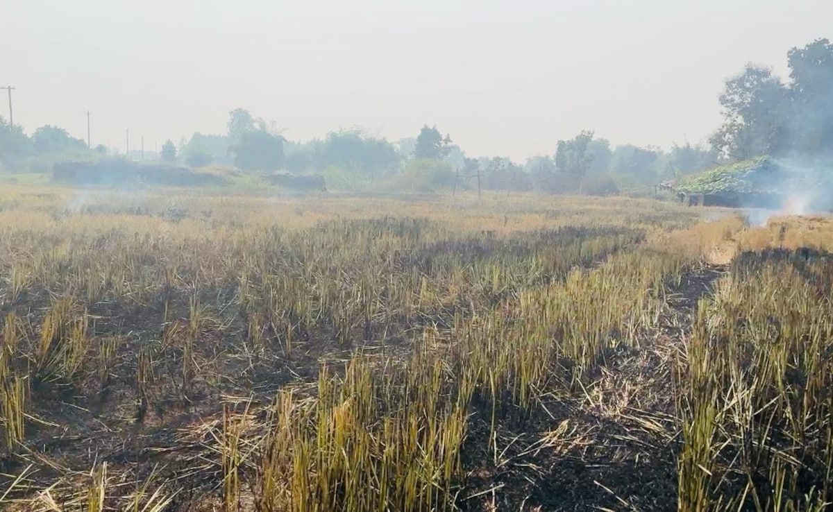 Delhi hikes crop loss compensation by over 50%, 10,000 farmers to get ...