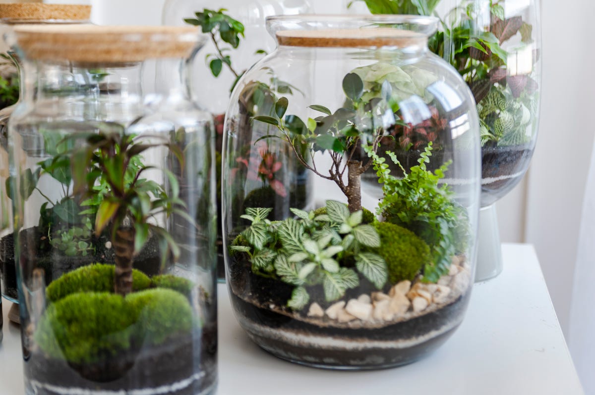 11 Genius Ways to Reuse Candle Jars Instead of Tossing Them