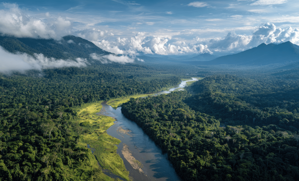 Amazon climate extremes predicted for 2050 are happening right now ...
