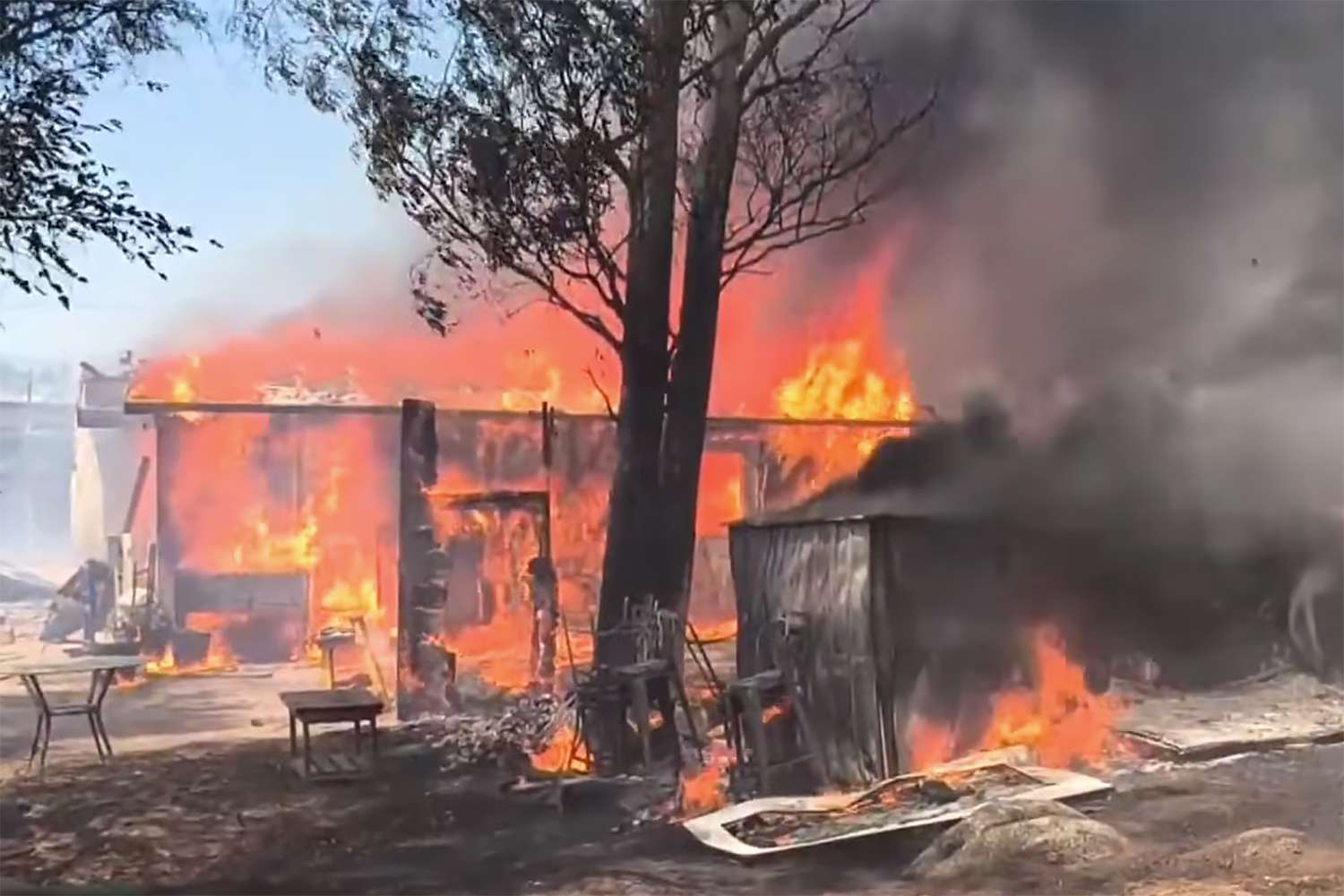 Over 3 million honeybees burned in California wildfire, beekeeper says ...