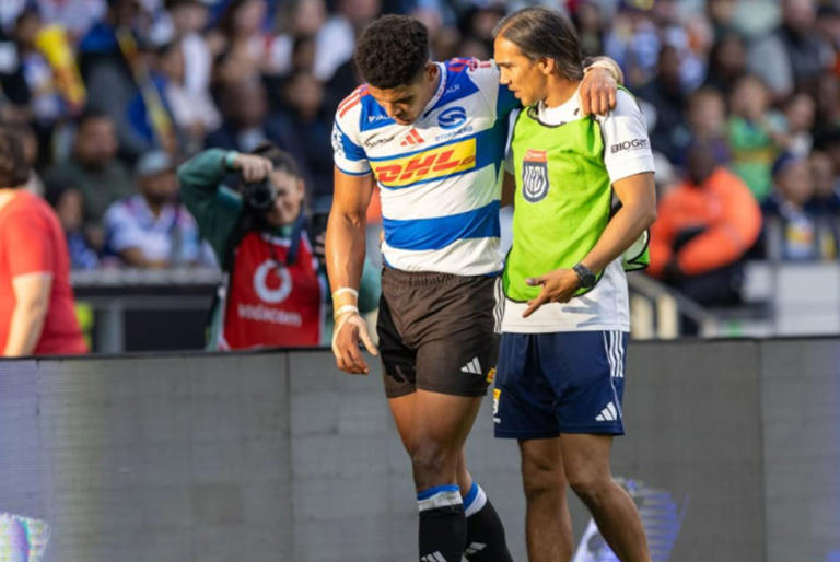 Eight Springboks injured: Here’s when they will return