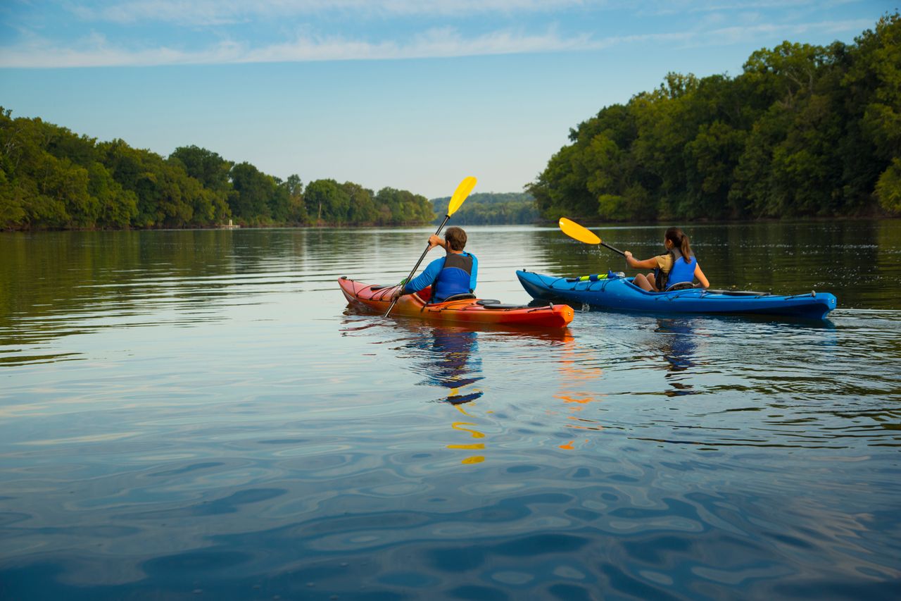 Two people kayaking on a calm river surrounded by trees