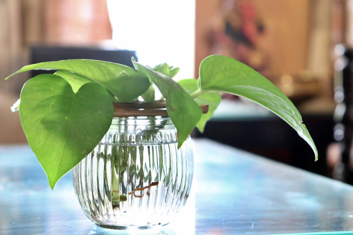 11 Genius Ways to Reuse Candle Jars Instead of Tossing Them