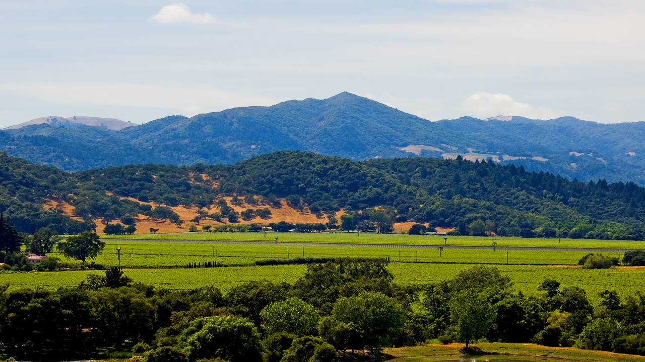 Ride a century-old train, watch a geyser blow, then decide if Napa is ...