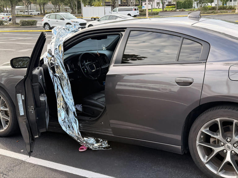 'She's turning blue!' Girl found seizing in hot car, DeLand cops say