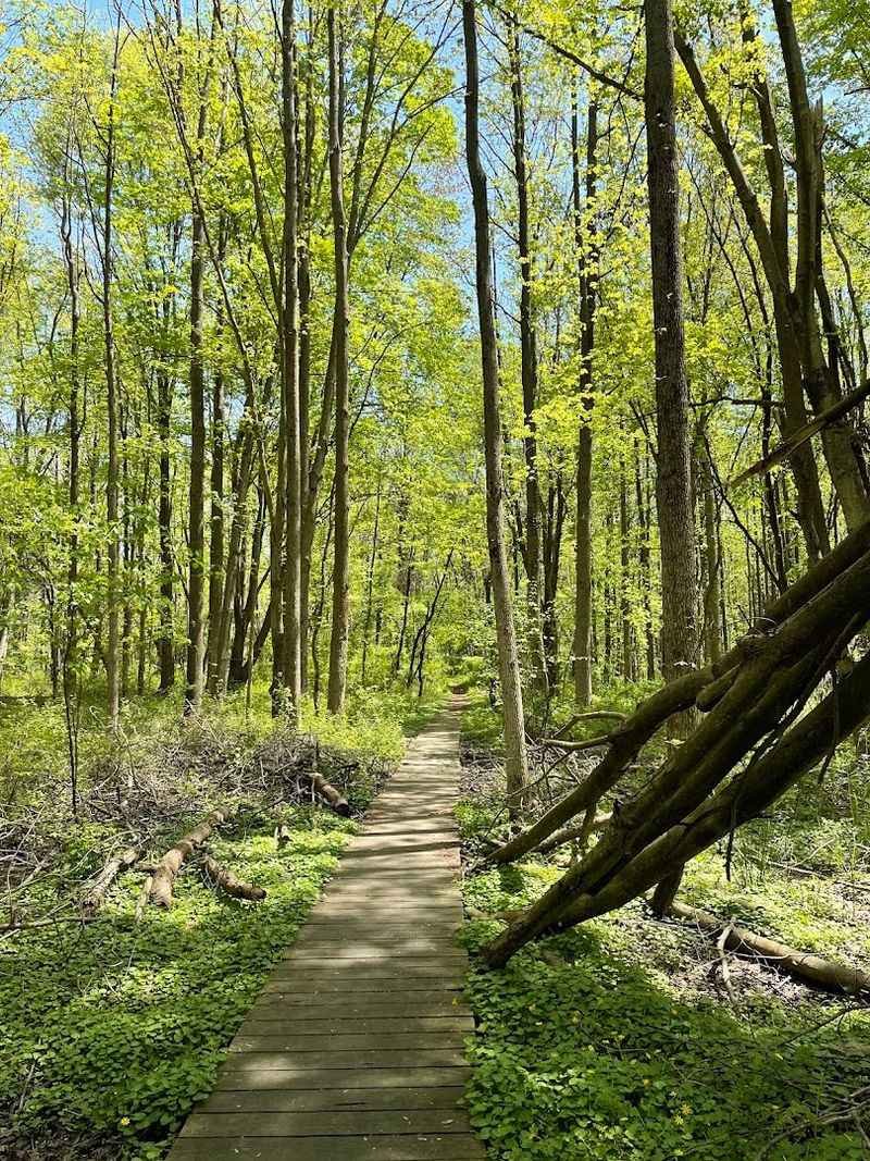 This quiet New Jersey creek winds through a nature preserve with paved ...