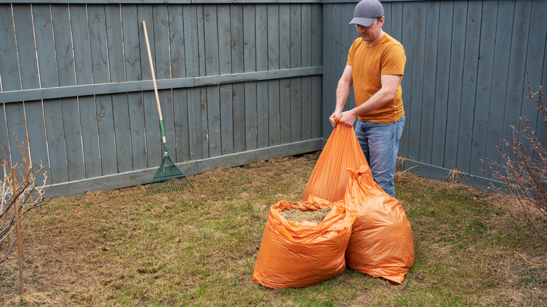 Lawn habits that look messy but help pollinators thrive