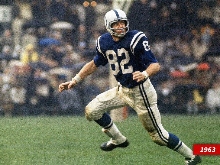 Raymond Berry, NFL Hall of Famer, dead at 93