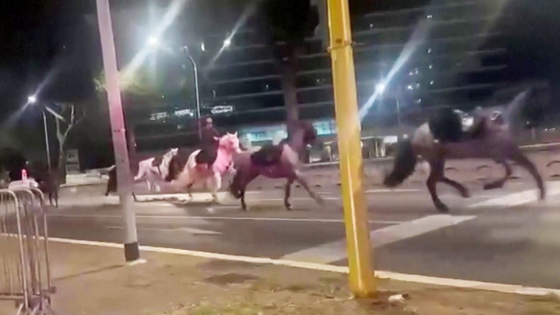 Horses spooked by fireworks in Rome; several riders injured
