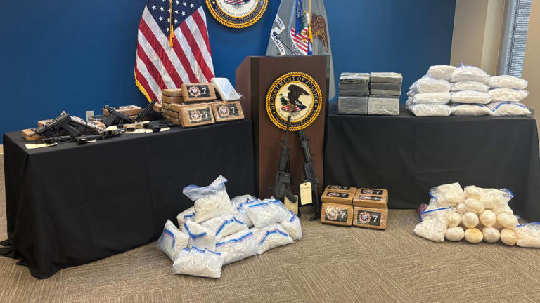 Months-long operation leads to 56 federal charges, seizure of hundreds ...