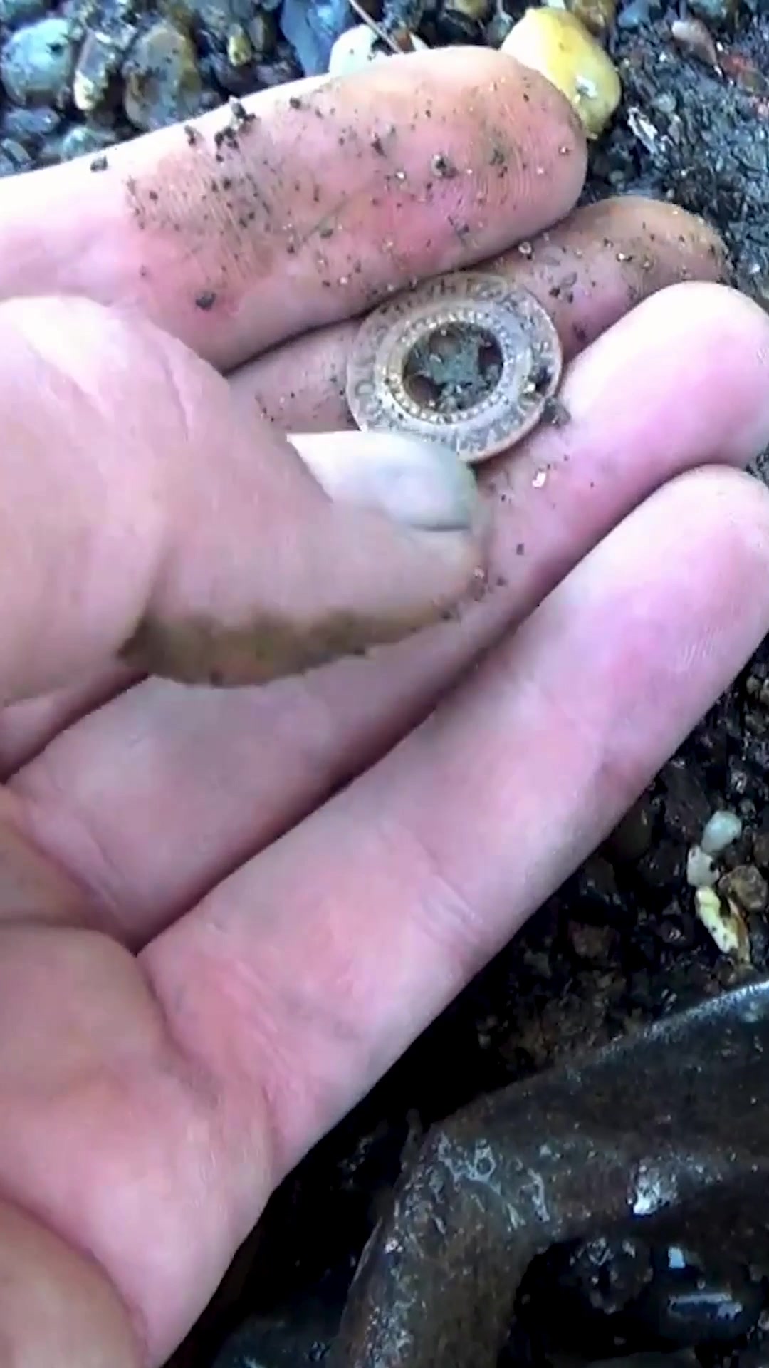 Perfectly preserved vintage bottle found
