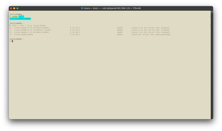 I ran out of storage on my Linux machine and these 2 tools fixed it fast