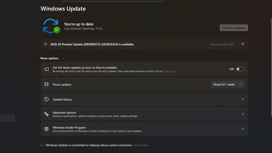 A screenshot of the Windows Update section of Settings
