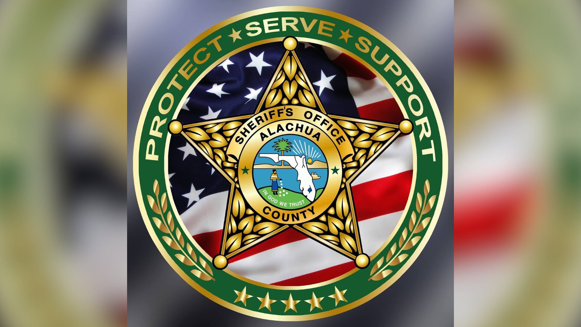 Alachua County gun violence prevention task force recovers hundreds of ...