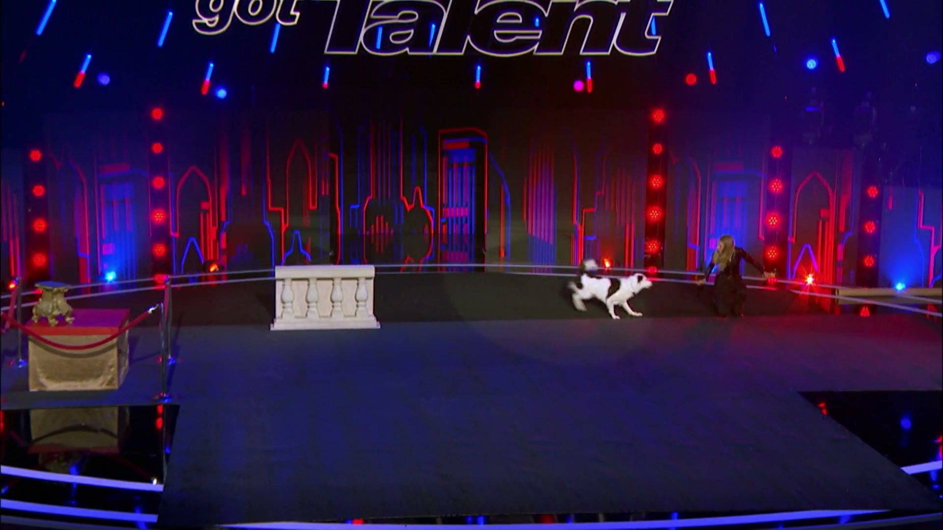 Sara and Hero - Dog act