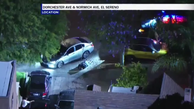 Allegedly armed suspect surrenders to LAPD officers after pursuit
