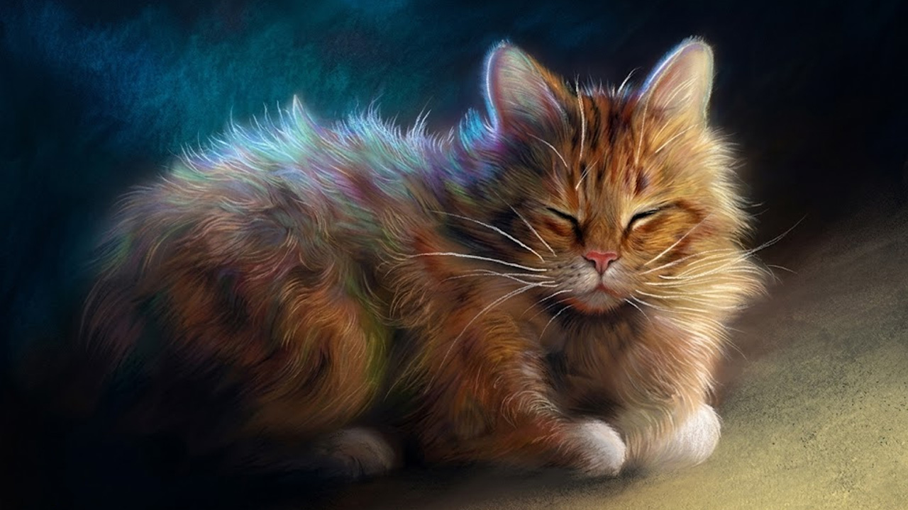 How to draw a cat with soft pastels | Pitt pencil black paper guide