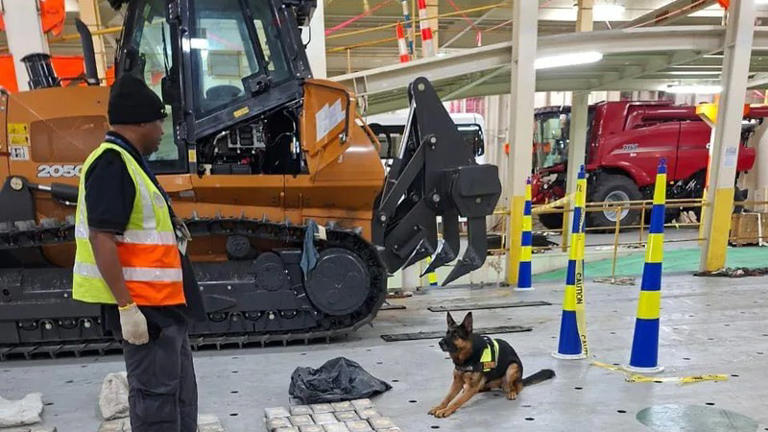Hawks unearth R36 million cocaine haul hidden in excavators at Durban ...