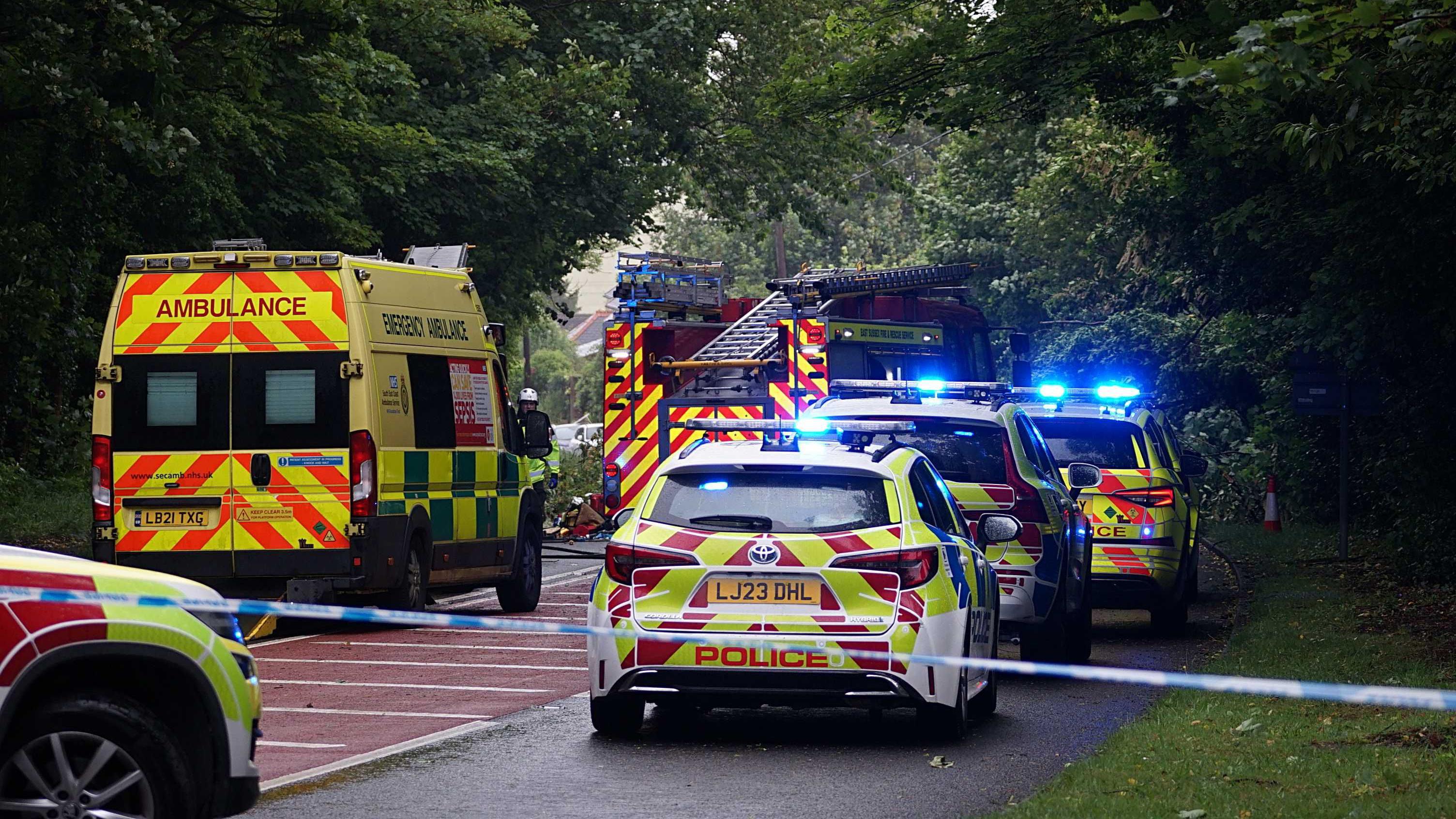 Woman injured after tree hits car in East Sussex