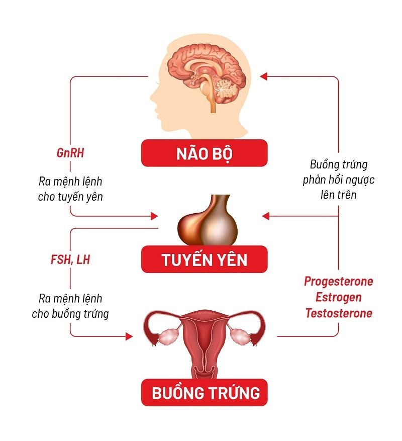 Kinh nguyệt tiết lộ điều gì về sức khỏe?