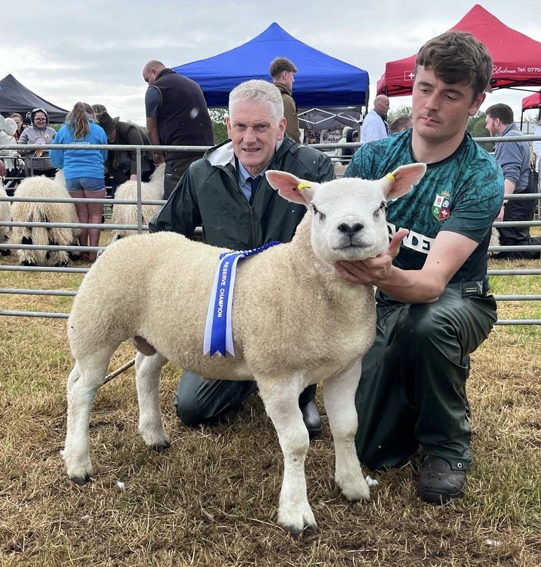 Northern Ireland Texel Sheep Breeder’s Club 'Show Flock of the Year ...