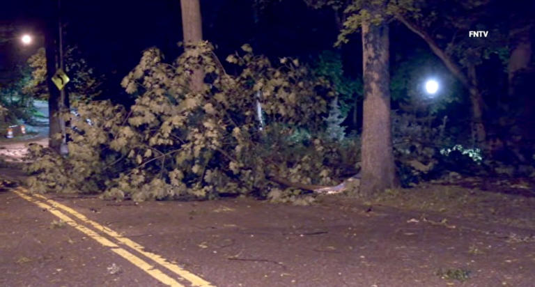 85-year-old man killed by falling tree in freak accident at NYC park: cops