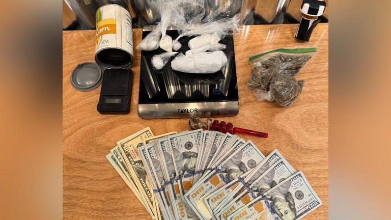 West Tenn. Drug Task Force finds 96g of meth, marijuana and money