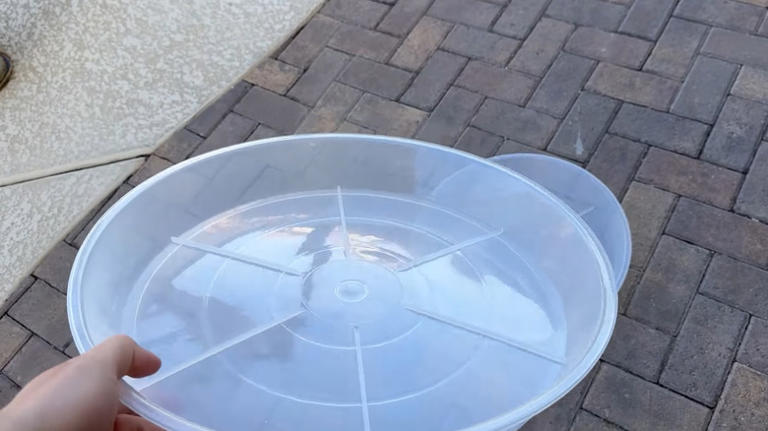 Don't toss old plant saucers  use them to create budget-friendly DIY  pavers instead