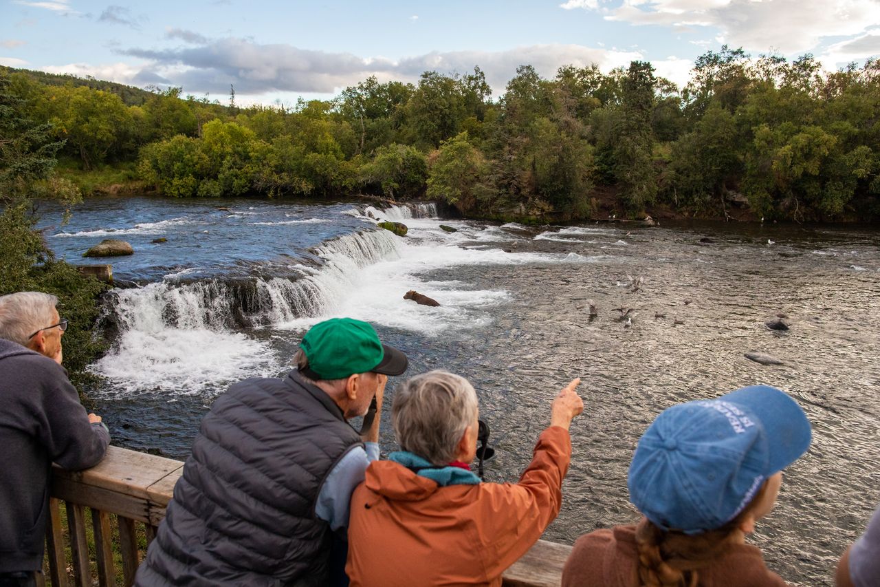 Visitors on an observation platform pointing toward a river with a small waterfall and dense trees in the background