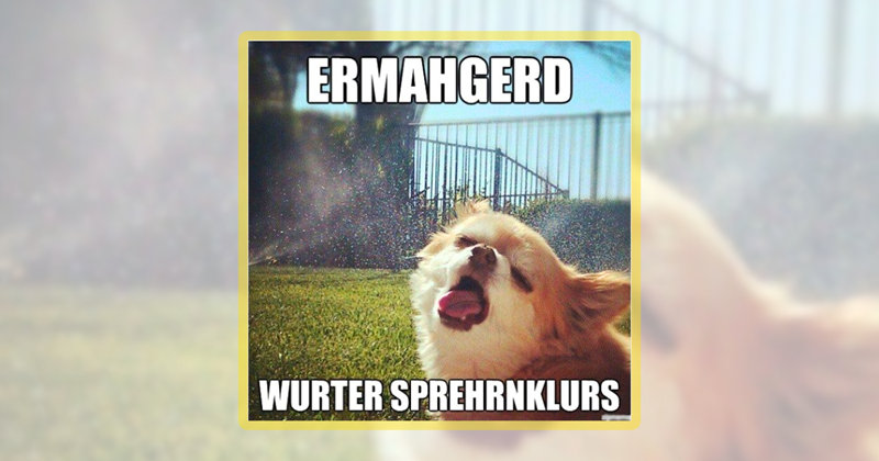 25 dog memes filled with summer spice and everything nice