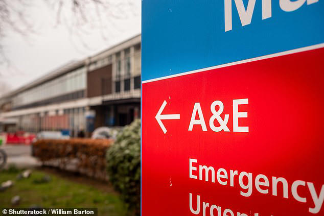 The Royal College of Emergency Medicine (RCEM) has called for a national commitment to eradicate waiting-time deaths by 2030
