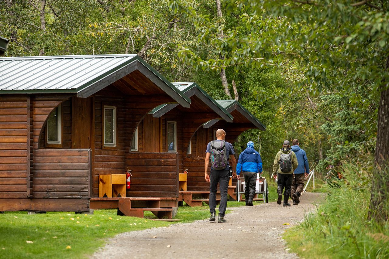 People walking along a path next to wooden cabins surrounded by trees