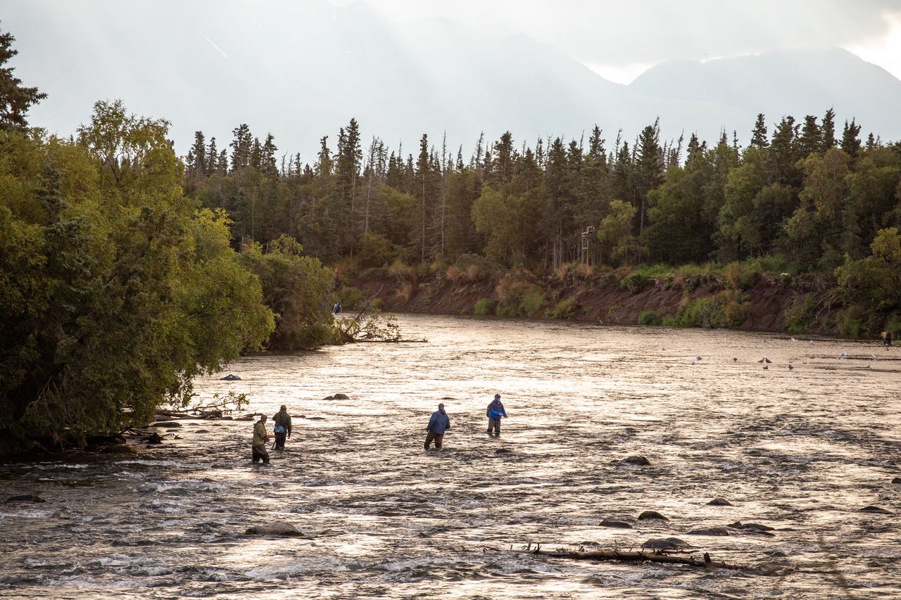 Several people fishing in a shallow river surrounded by trees and distant hills