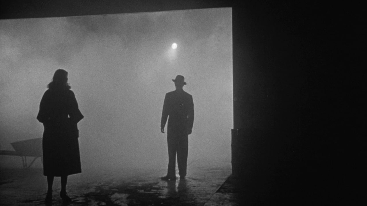 20 masterpieces on film that refuse to solve their own mysteries