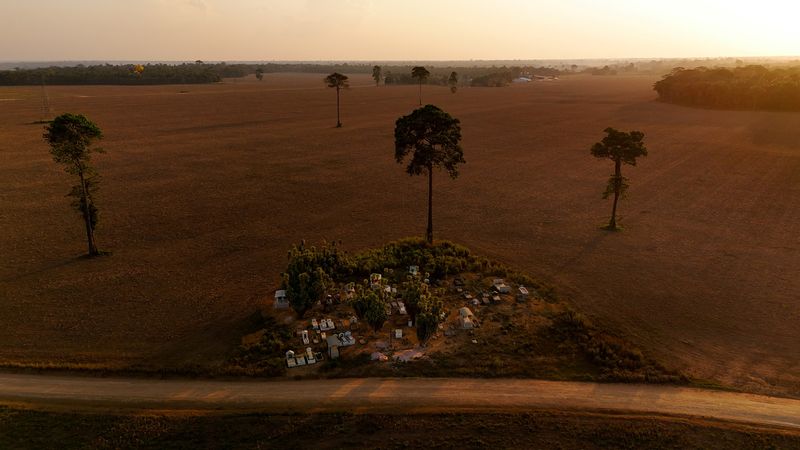 Soaring fertilizer prices dim Brazilian farmers' edge over US rivals