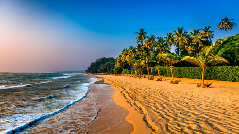 7 must-visit beaches in Goa for a perfect coastal getaway
