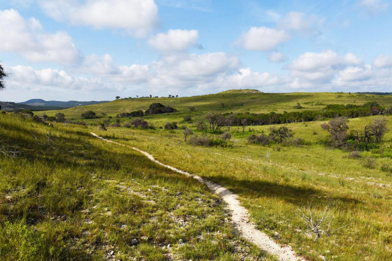 Balcones Canyonlands Wildlife Refuge, home to endangered songbird, adds ...