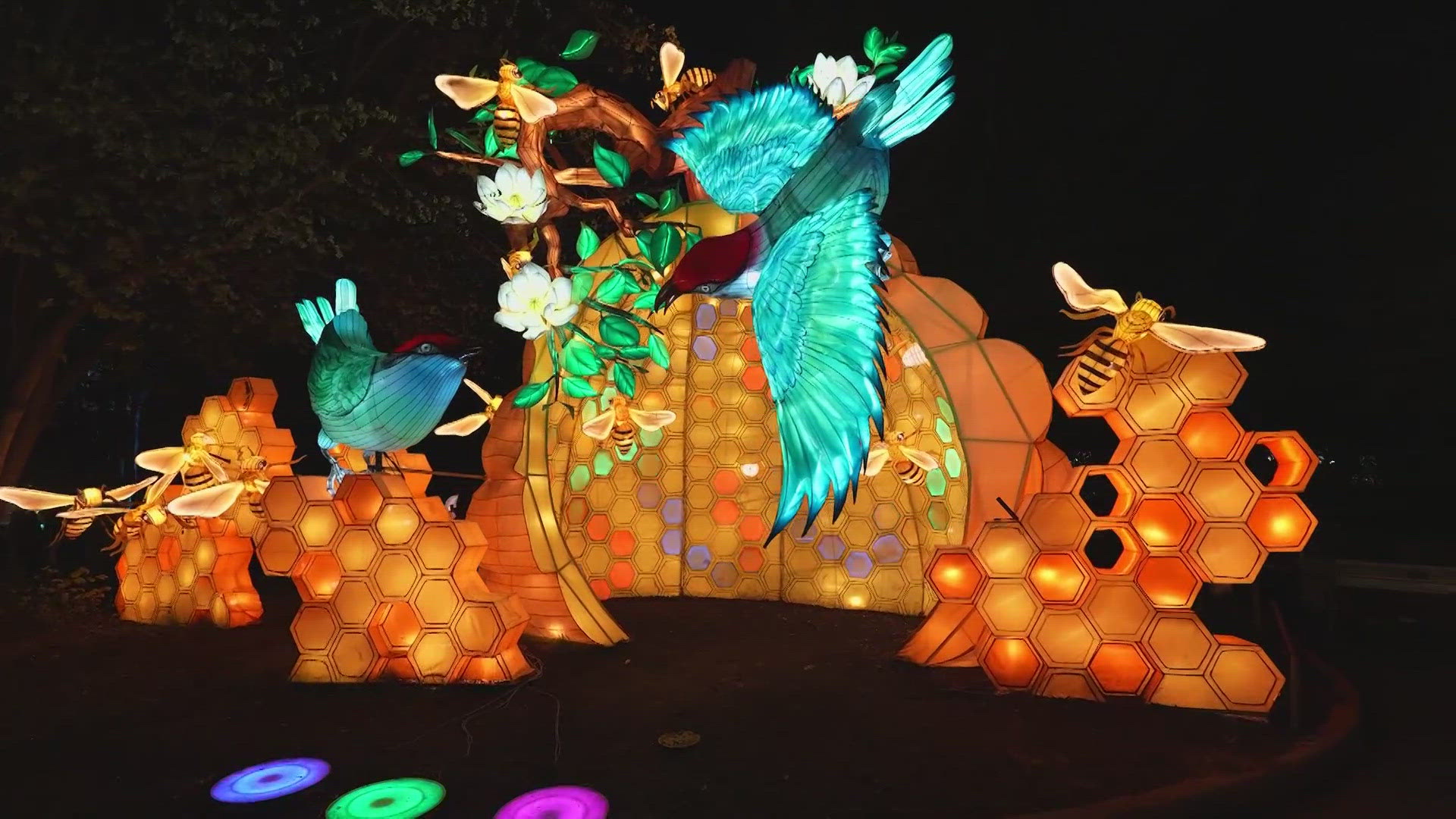 asian-lantern-festival-returns-to-cleveland-metroparks-zoo-this-summer