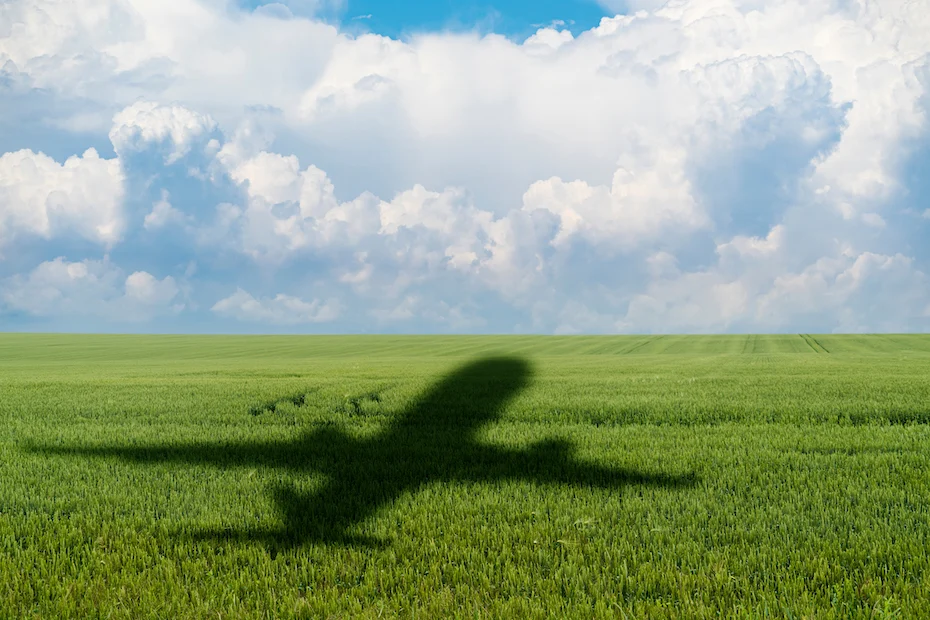 Curated visual reference: Fresh Look at Airline Ceos Warn Eu Plan To Expand Carbon Costs Will
