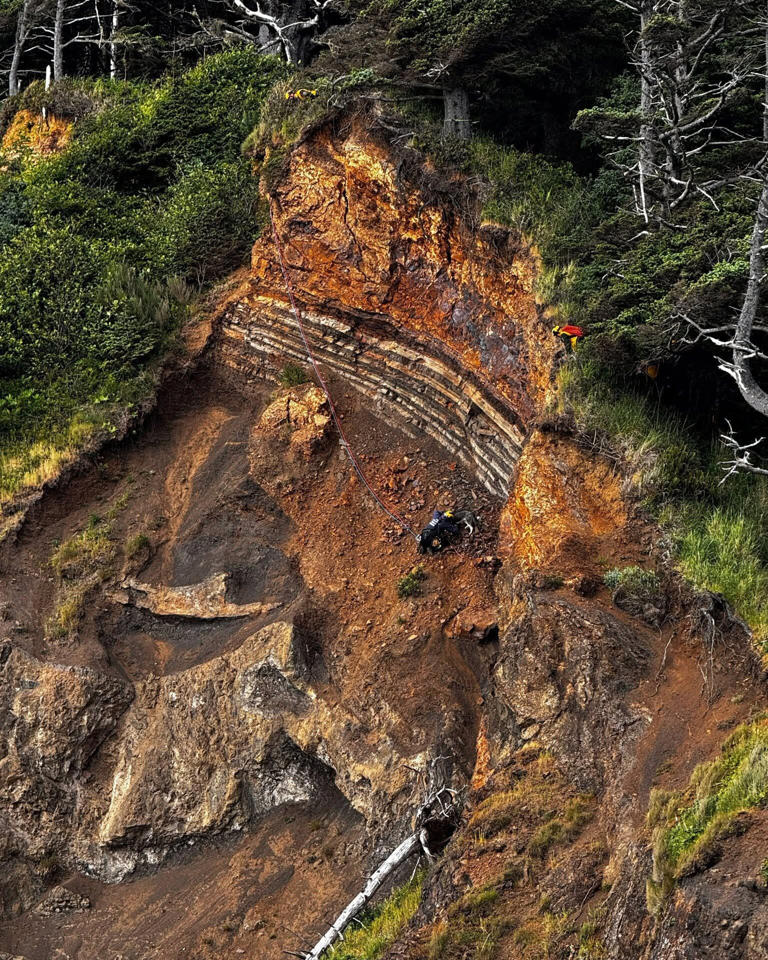 Firefighters rescue dog from cliff at Ecola State Park