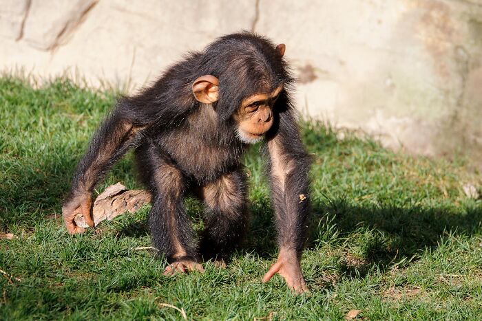 Today I Learned: 47 Surprising Facts Worth Knowing