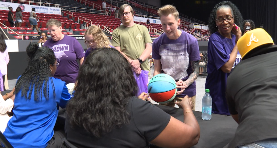 Charlotte Sting, WNBA alums hope for revival of professional NC women’s ...