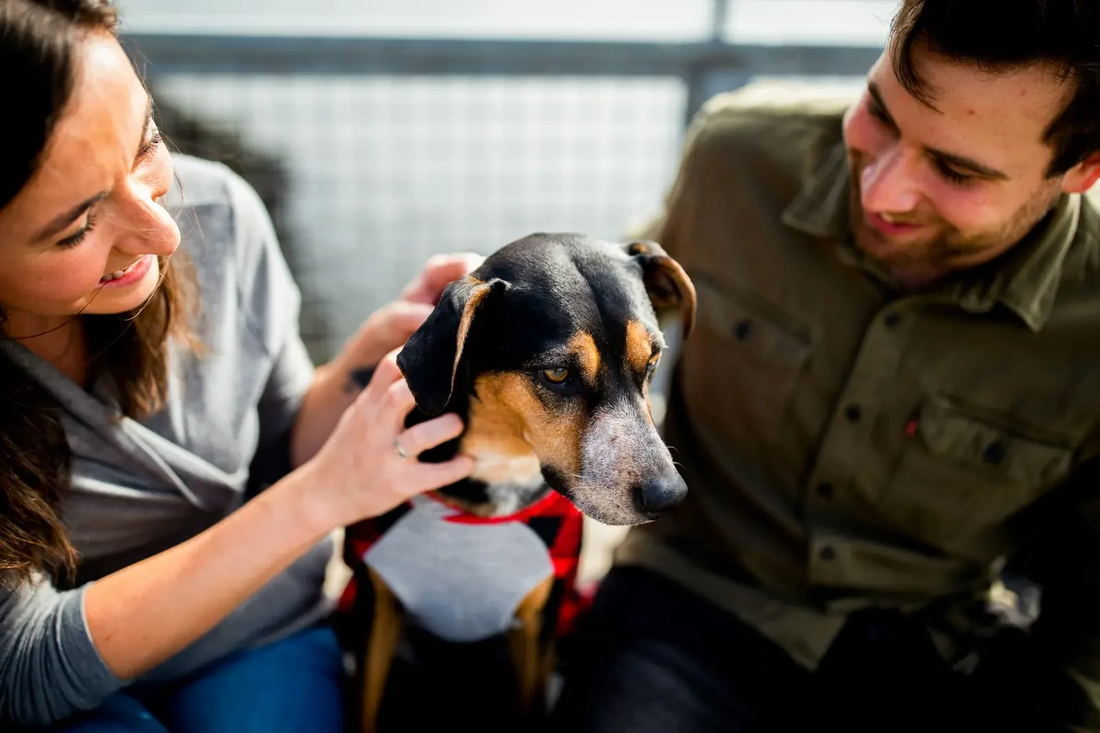 Laços entre tutores e animais despertam interesse da comunidade científica.