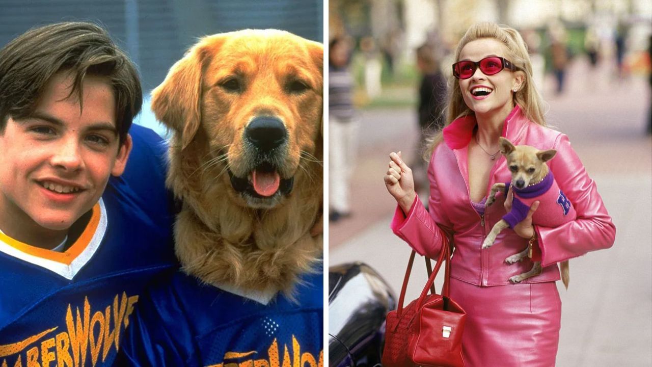 The 15 TV Animals We Loved Just as Much as Their Co-Stars