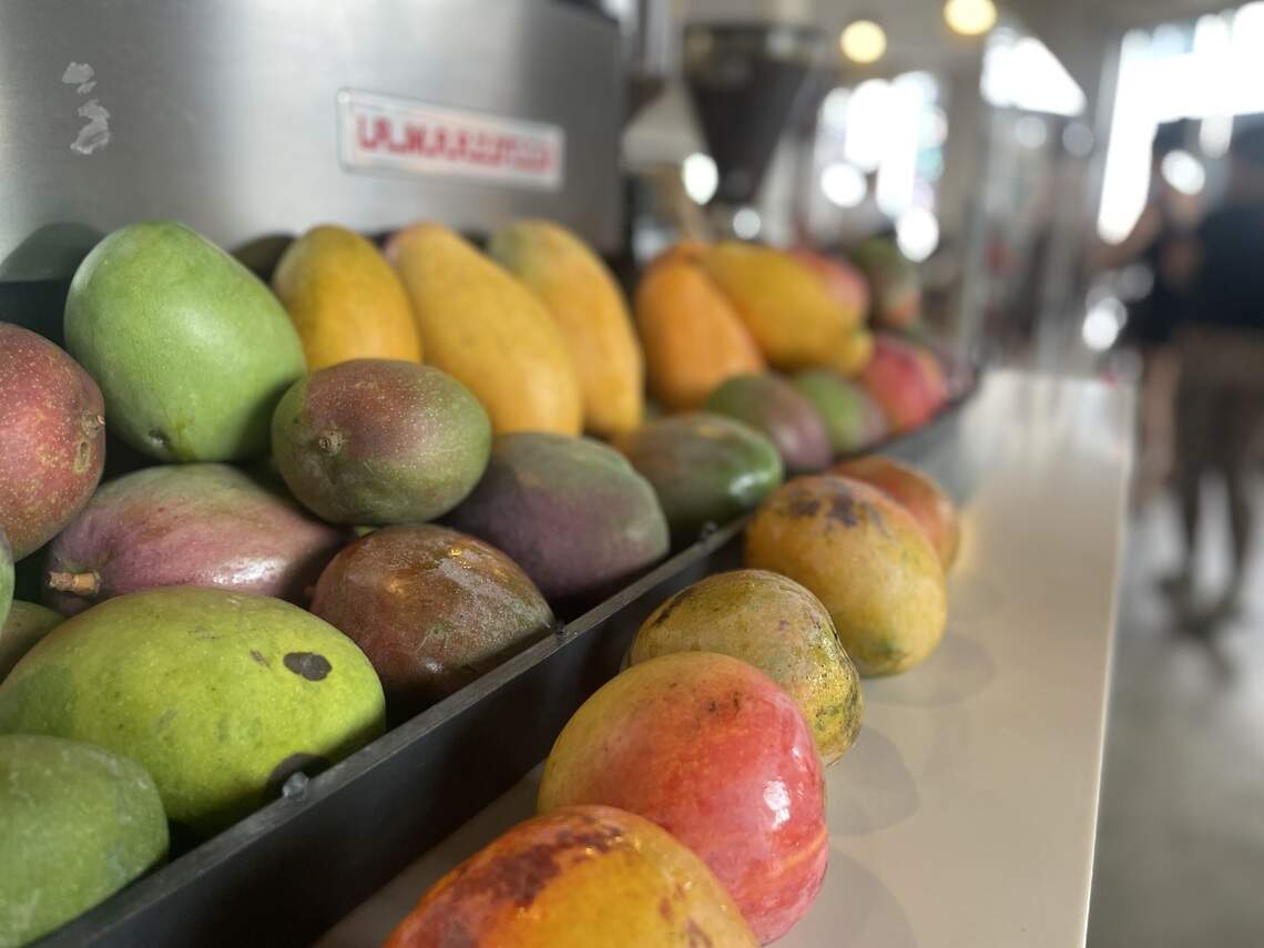mango-season-is-back-in-miami-here-s-how-to-make-the-most-of-it