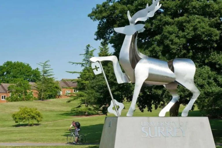 UNIVERSITY OF SURREY CAMPUS | Source: GETTY