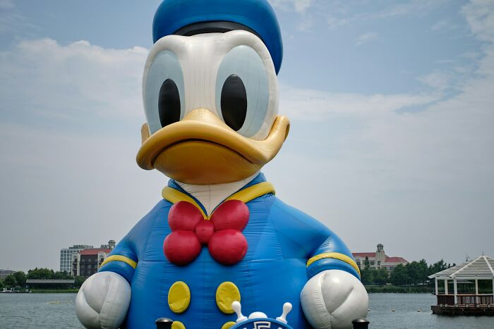 Today I Learned: 47 Surprising Facts Worth Knowing