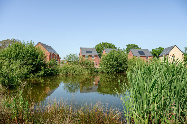 Aerial views show how Cottam development is supporting nature