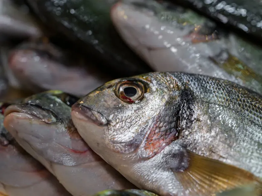 How to tell if fish is fresh without smelling it