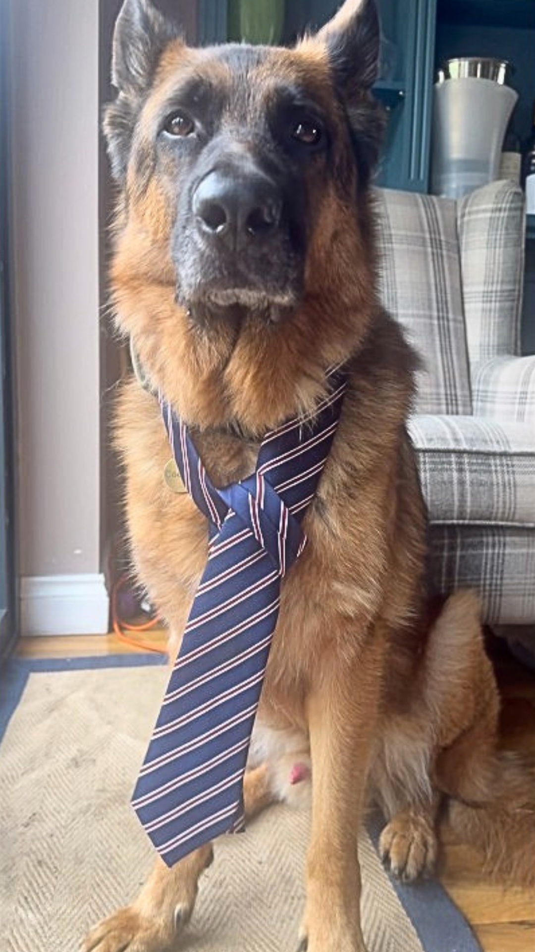 Me working? I got humans for that